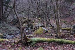 dsc_4167.jpg