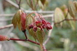 dsc_6927.jpg