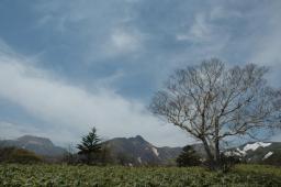 dsc_6932.jpg