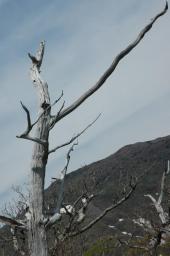 dsc_6942.jpg