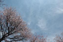 dsc_6944.jpg