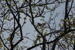 dsc_6956.jpg