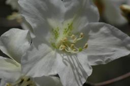 dsc_6966.jpg