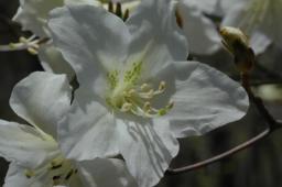 dsc_6969.jpg