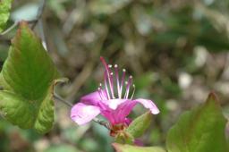 dsc_6989.jpg