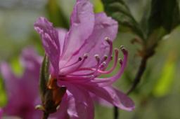 dsc_6991.jpg