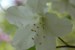 dsc_6999.jpg