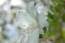 dsc_7002.jpg