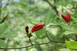 dsc_7025.jpg