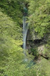 dsc_7038.jpg