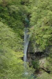 dsc_7040.jpg