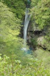 dsc_7043.jpg