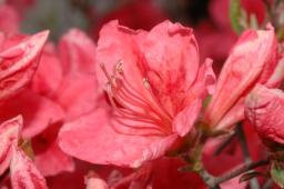 dsc_7059.jpg