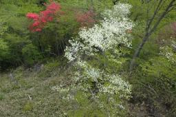 dsc_7072.jpg
