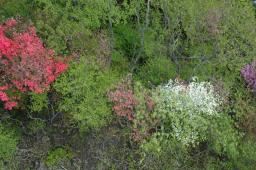 dsc_7073.jpg