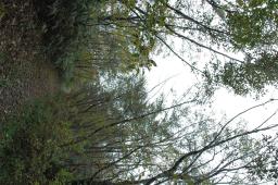 dsc_9907.jpg