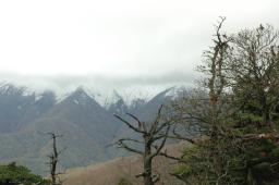 dsc_9917.jpg