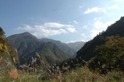dsc_0227.jpg