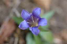 dsc_0240.jpg
