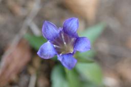 dsc_0241.jpg