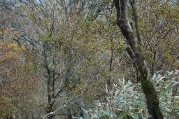 dsc_0274.jpg