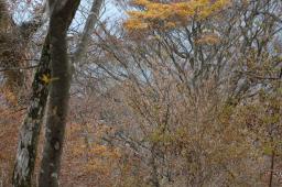 dsc_0276.jpg