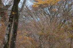 dsc_0277.jpg
