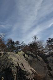 dsc_0421.jpg