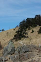 dsc_0444.jpg
