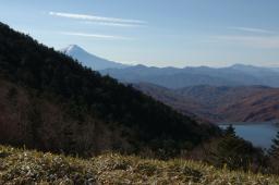 dsc_0453.jpg