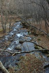 dsc_0473.jpg