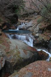 dsc_0489.jpg