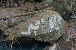dsc_0501.jpg