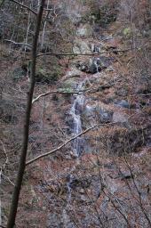 dsc_0514.jpg