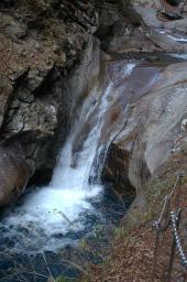 dsc_0518.jpg