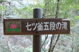 dsc_0542.jpg