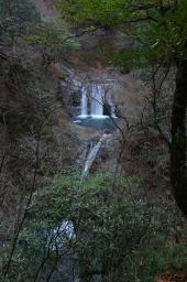 dsc_0544.jpg