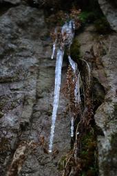 dsc_0558.jpg