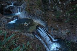 dsc_0575.jpg