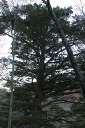 dsc_0602.jpg
