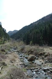 dsc_2993.jpg