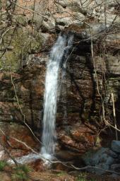 dsc_3000.jpg