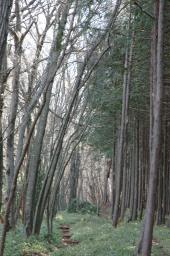 dsc_3002.jpg