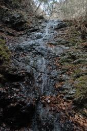 dsc_3032.jpg