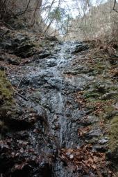 dsc_3036.jpg