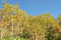 dsc_4643.jpg