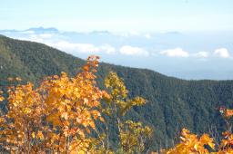dsc_4656.jpg