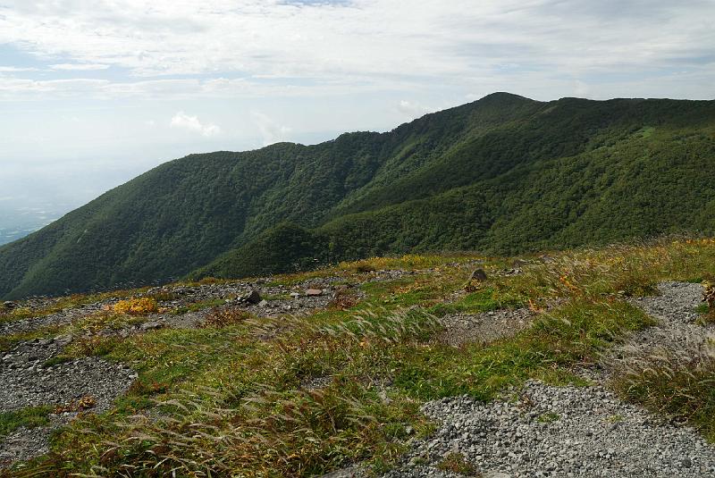 DSC_1539.jpg