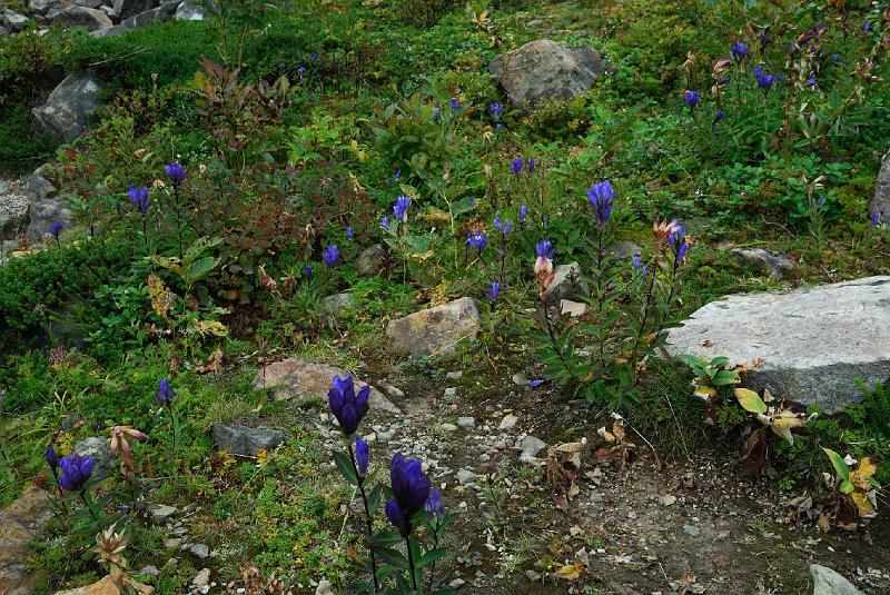 DSC_1597.jpg