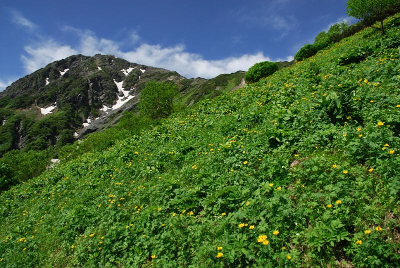 DSC_6093.jpg